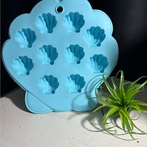 Seashells Mold. Arts n crafts